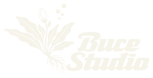 BuceStudio